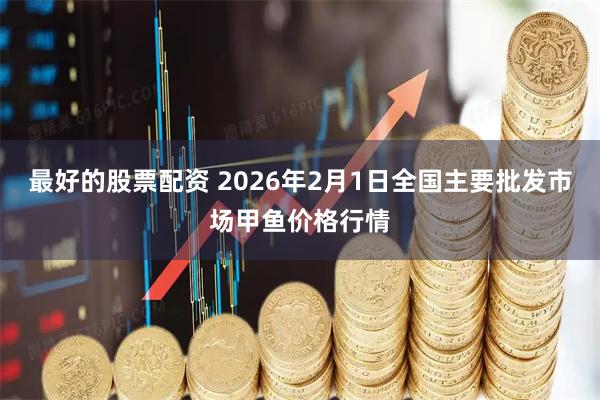 最好的股票配资 2026年2月1日全国主要批发市场甲鱼价格行情