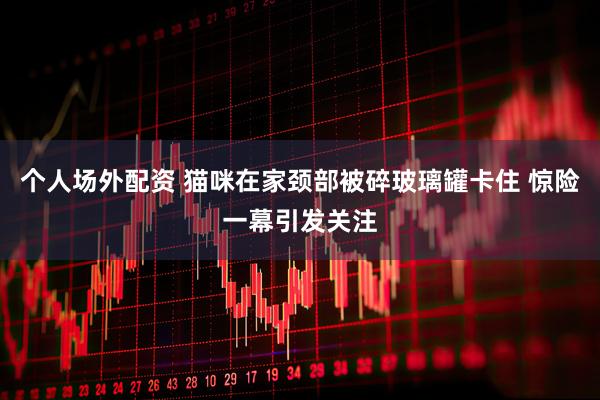 个人场外配资 猫咪在家颈部被碎玻璃罐卡住 惊险一幕引发关注